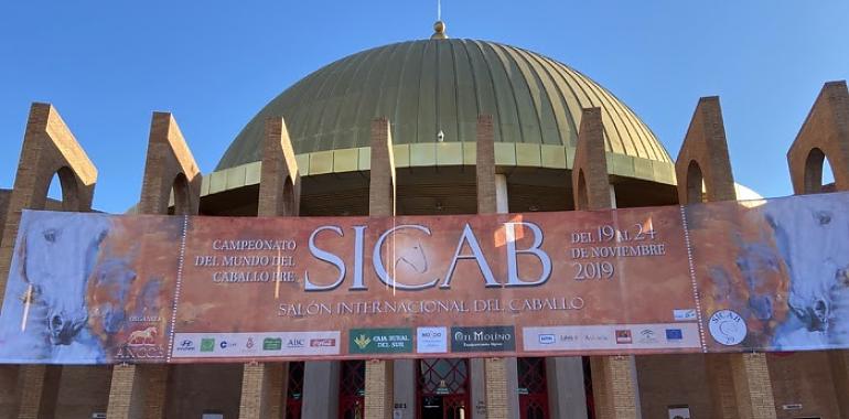 SICAB 2019 arranca en Sevilla con los mejores caballos pura raza española del mundo