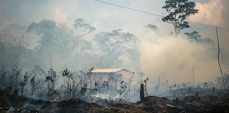 BOLSONARO: En sólo un año arrasan un 30 % más de la Amazonía