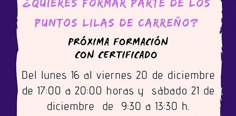 Carreño impulsa la capacitación del voluntariado que atenderá los Puntos Lilas del municipio