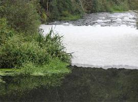 La \"Plataforma polo Sar\" aúna a pescadores y ecologistas