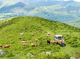 El sector del vacuno de carne refuerza su compromiso medioambiental