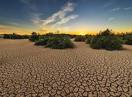 Europa declara oficialmente la emergencia climática global