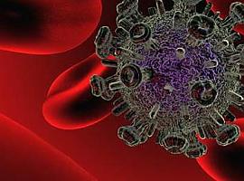 Salud advierte que el 60% de las nuevas infecciones por VIH se diagnostican tarde y anima a realizar las pruebas de detección rápida