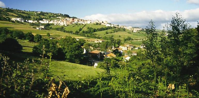 La Red de Centros de Educación para el Consumo del Principado recibe el Premio Saludable de Tineo