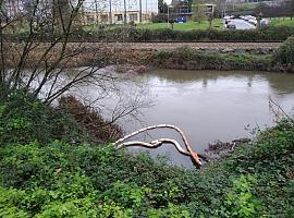 Alertan de nuevos vertidos en la Ría de Avilés