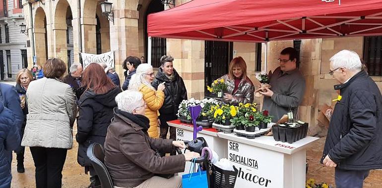 El Grupo Socialista de Oviedo reparte plantas y árboles contra la emergencia climática