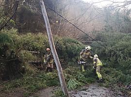 Bomberos y Policía Local atendieron más de 120 incidencias los días 21 y 22 en Oviedo