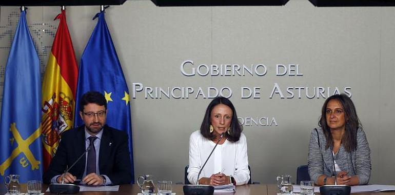 Asturias destina 15,7 millones a garantizar la ayuda a domicilio y la teleasistencia a 5.550 dependientes