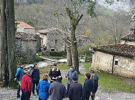 64.764 viajeros utilizaron el funicular de Bulnes en 2019, un 8% más que el año anterior