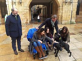 Oviedo lanza una campaña informativa sobre la tenencia responsable de mascotas