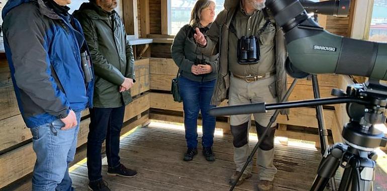 Las aves acuáticas de Europa tambièn reservan en Asturias para el invierno 