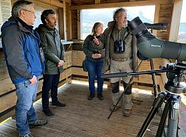 Las aves acuáticas de Europa tambièn reservan en Asturias para el invierno 