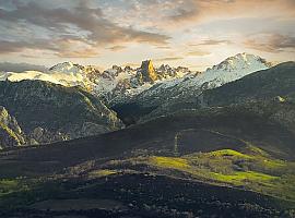 La osezna liberada en noviembre en los Picos de Europa evoluciona con normalidad