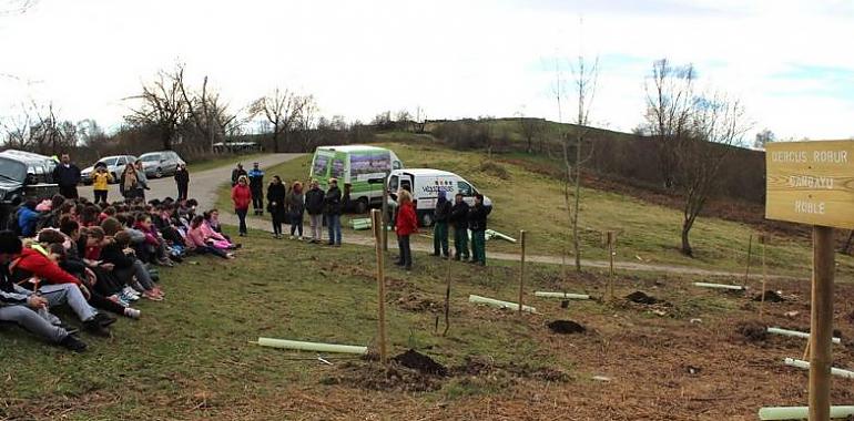 Estudiantes mierenses inician la plantación de 940 árboles autóctonos en La Teyerona 