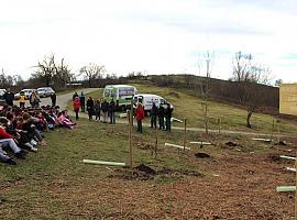 Estudiantes mierenses inician la plantación de 940 árboles autóctonos en La Teyerona 