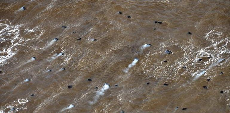 Los primeros piroclastos aparecidos en La Restinga están formados por basalto y traquita