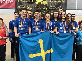 El Ovida Bádminton Oviedo B, campeon invicto de la liga