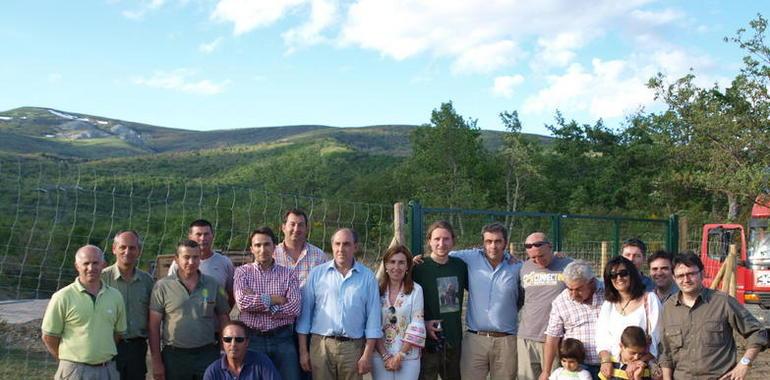 La Junta invierte 300.000 euros en la reserva de bisontes de San Cebrián de Mudá (Palencia)