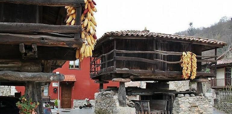 La Mesa del Hórreo definirá la protección y futuro de esta joya de la arquitectura popular