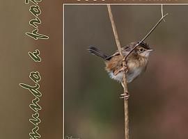 El Manglar inaugura la exposición fotográfica “Aves: un mundo a proteger”