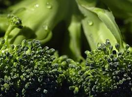 Un estudio muestra la posibilidad de usar membranas vegetales para mejorar la aplicación de fármacos