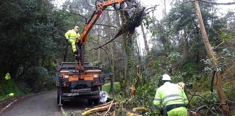 La CHC limpia los cauces de los ríos asturianos Ereba, Nora y Aller