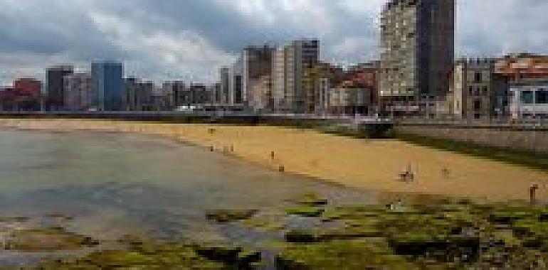 Gijón analizará la arena de la playa en busca de materia orgánica