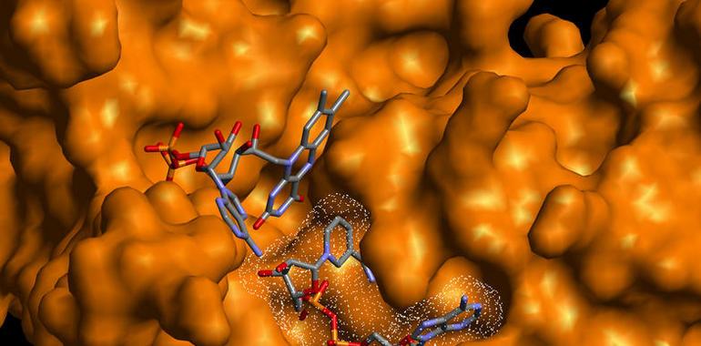 Arranca la Semana de la Ciencia con más de 260 actividades del CSIC