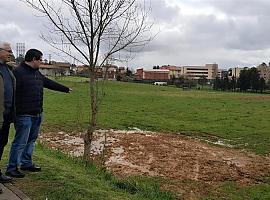 El PSOE denuncia “arbitrariedad y doble rasero” en la gestión de la Farinato
