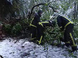 La nieve impone cadenas en 8 puertos de Asturias y cierra Pajares a pesados
