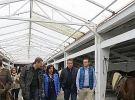 El Ayuntamiento cancela la XXXII Feria de Muestras de Tineo hasta 2021