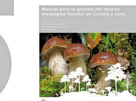 Un manual recoge los avances científicos en micología forestal en Castilla y León