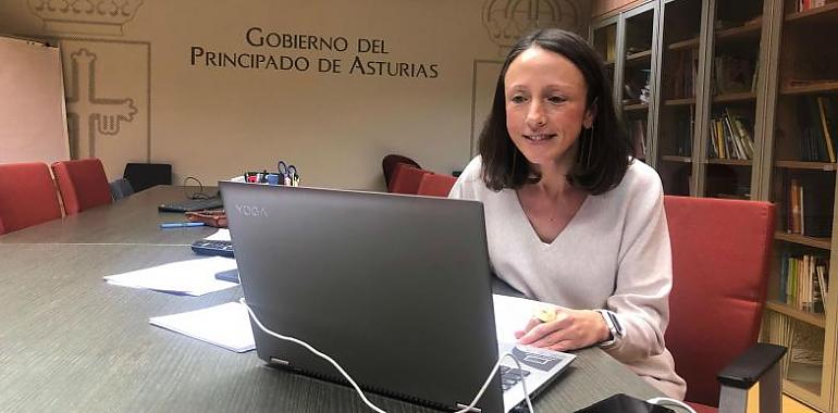 Asturias: Atención domiciliaria dará alimentos y medicinas en sus hogares a pacientes leves de coronavirus