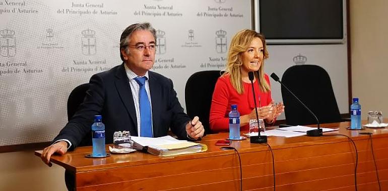 Mallada pide al Principado una ayuda directa de 3.100 euros a autónomos individuales con graves pérdidas 