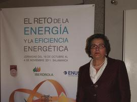 Rosario Heras: \"Un diseño arquitectónico eficiente puede lograr un ahorro del 50% de la energía\"