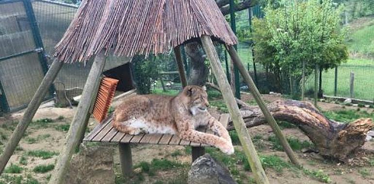 Los escolares de Oviedo podrán visitar el zoo El bosque virtualmente 