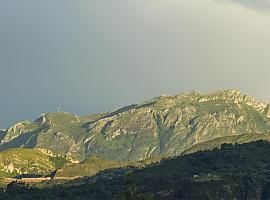 Desarrollo Rural tramita la actualización del Plan Forestal y modificará la Ley de Montes