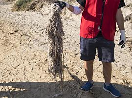 LIBERA recuerda el impacto en la naturaleza provocado por los residuos higiénicos del inodoro