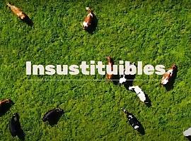MSD Animal Health agradece a los 30.000 veterinarios españoles por su labor “insustituible”