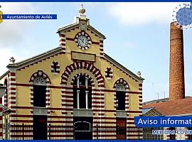 Avilés ofrece estrategias de comercio electrónico para paliar los efectos del COVID-19