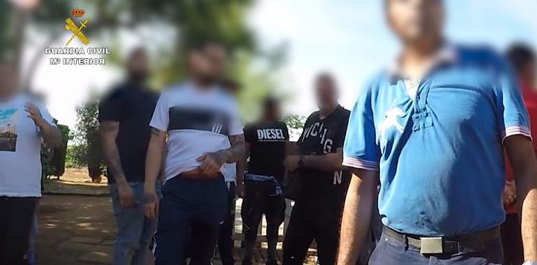 Denunciadas 83 personas por organizar una pelea de gallos clandestina