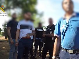 Denunciadas 83 personas por organizar una pelea de gallos clandestina