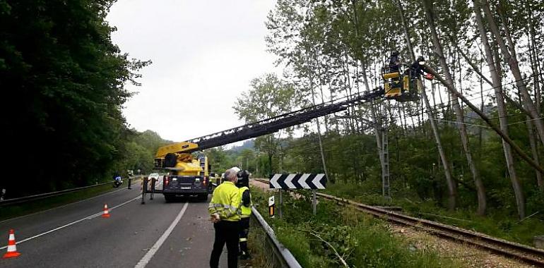 Bomberos retira un árbol caído sonre la catenaria de FEVE en Piloña