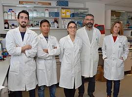 Fundación ”la Caixa” destina 1,8 M € a seis proyectos de investigación frente al coronavirus