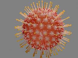 La vacuna española para Covid-19 podría basarse en un antígeno del coronavirus 