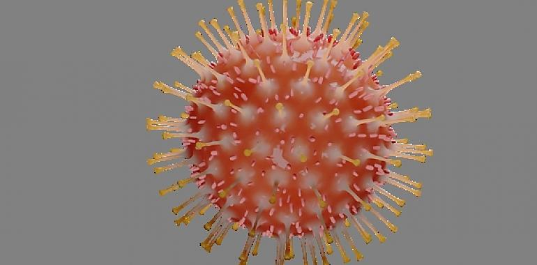 COVID-19: la potente hipótesis de la inmunidad cruzada