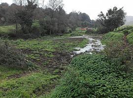 Denuncian vertidos de purines en el espacio natural de San Andres en Gijón