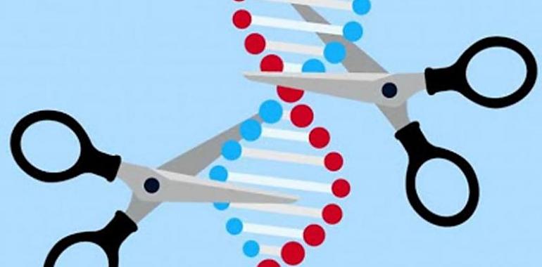 Investigadores del CSIC utilizarán herramientas CRISPR para destruir el genoma del Covid-19