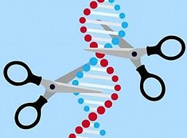 Investigadores del CSIC utilizarán herramientas CRISPR para destruir el genoma del Covid-19