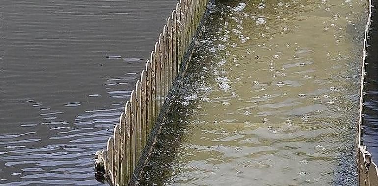 A licitación las obras de la EDAR de Gijón